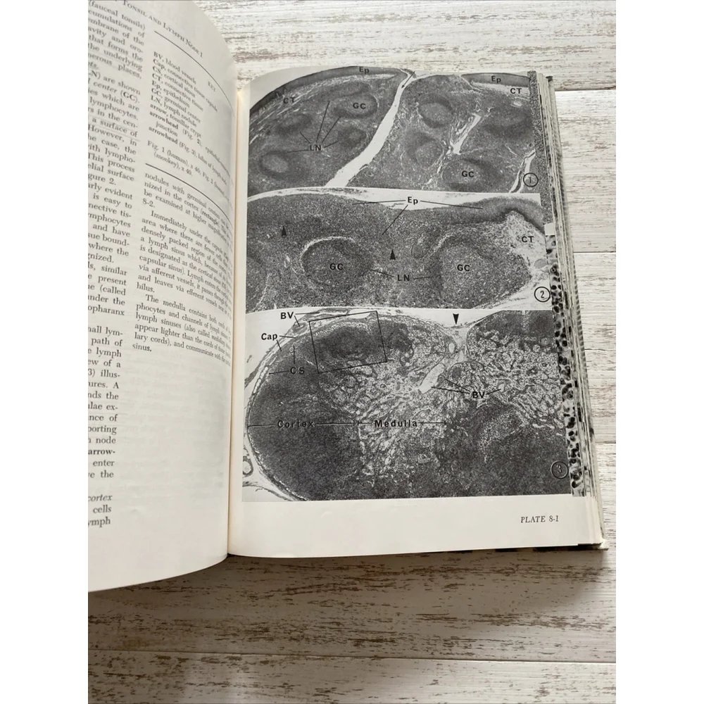 Vintage Histology Atlas 1970 Medical Textbook Hardcover Reith Ross 2nd Edition